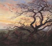 Caspar David Friedrich Tree with Crows (mk10) Spain oil painting artist